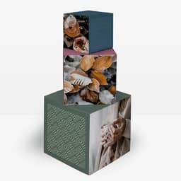 Thumb_cat_Cube_en_carton